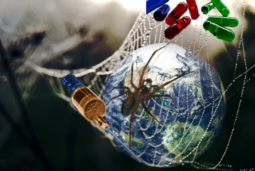 WILD WILD WEB (1/2)