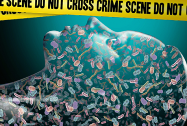 L&rsquo;horloge microbienne déterminante sur une scène de crime