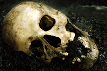 La plaque dentaire : une source d’ADN audacieuse