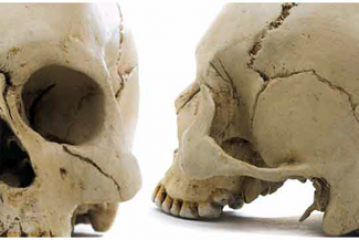 16ème Congrès d&rsquo;Anthropologie Médico-Légale